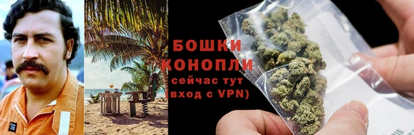 ECSTASY Богородск